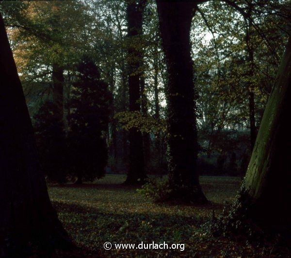 Im Schlossgarten, ca. 1981