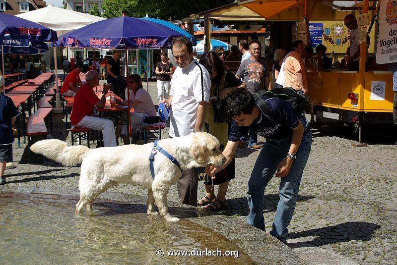 Altstadtfest 2008 268