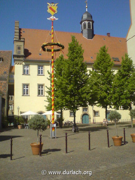 Maibaum 2007