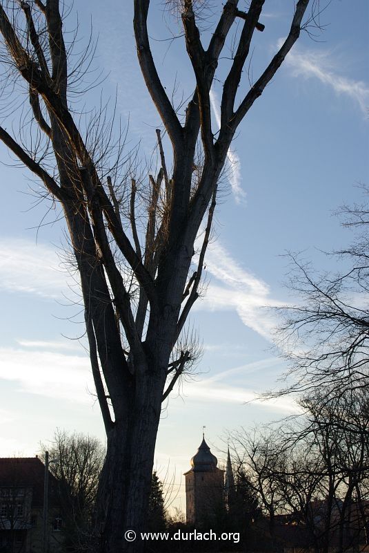 2009 - Blick vom Weiherhof auf den Basler Tor Turm