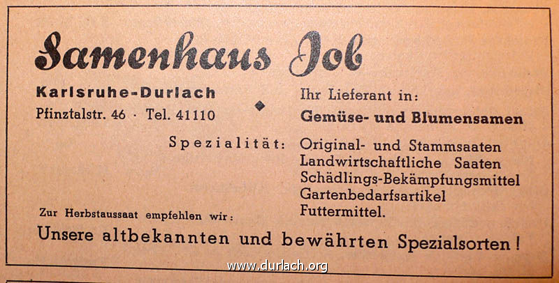 Samen Job 1953