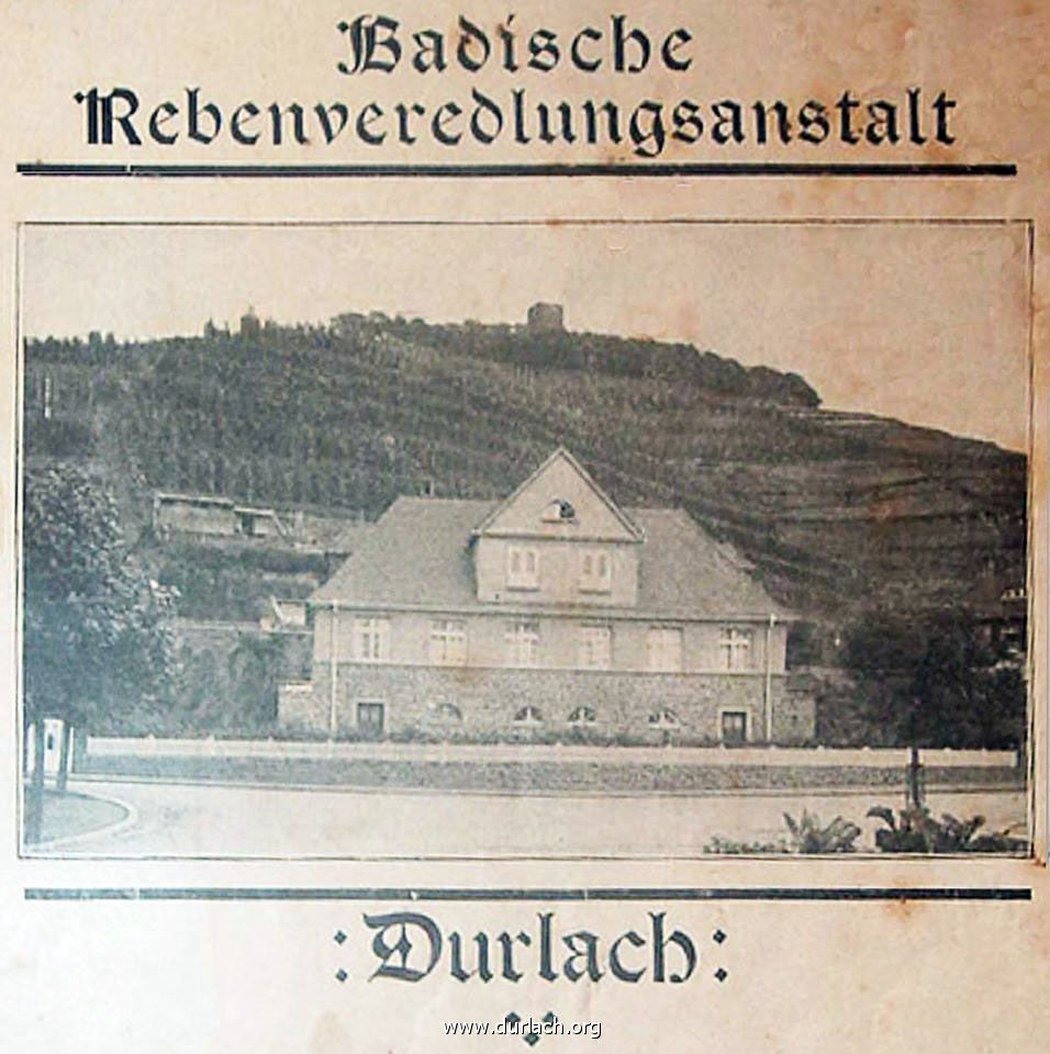 Weinbauversuchsanstalt