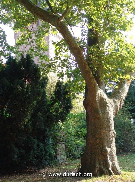 Alter Friedhof, 2007