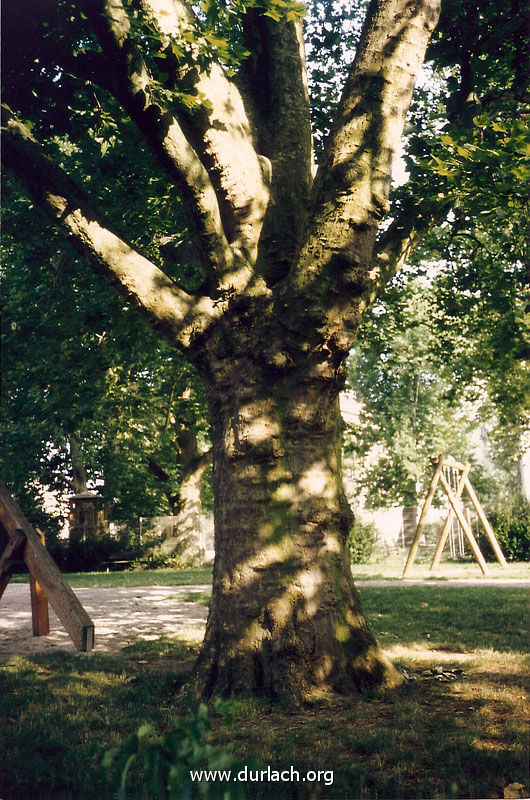 Alter Friedhof