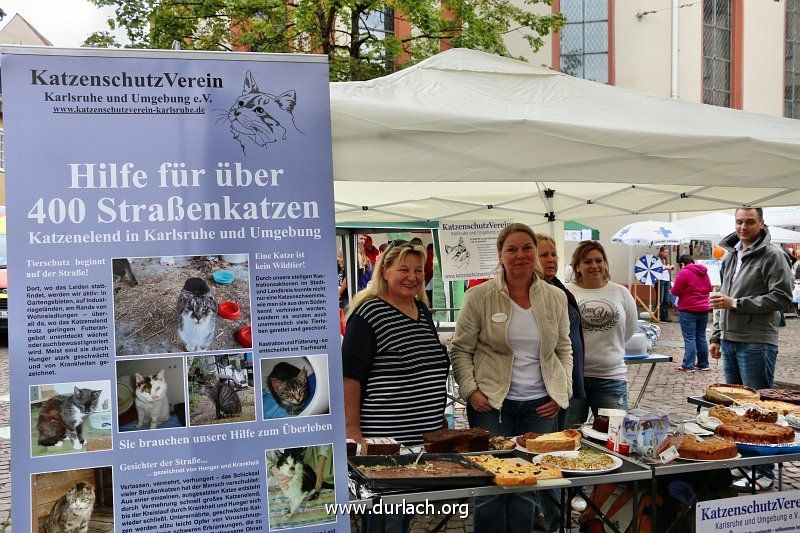 Markt der Moeglichkeiten 2015 15