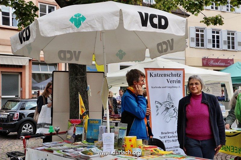 Markt der Moeglichkeiten 2015 37