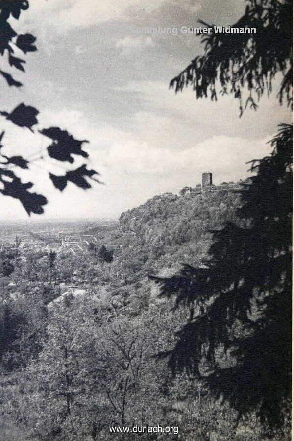 sammlung g widmann 4 blick zum turmberg 113