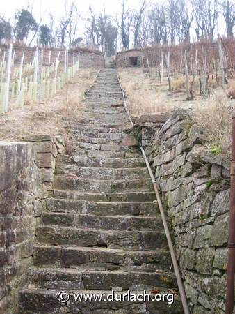 Weinberg am Turmberg