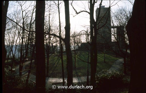 Wiese hinter dem Turmberg, ca. 1982