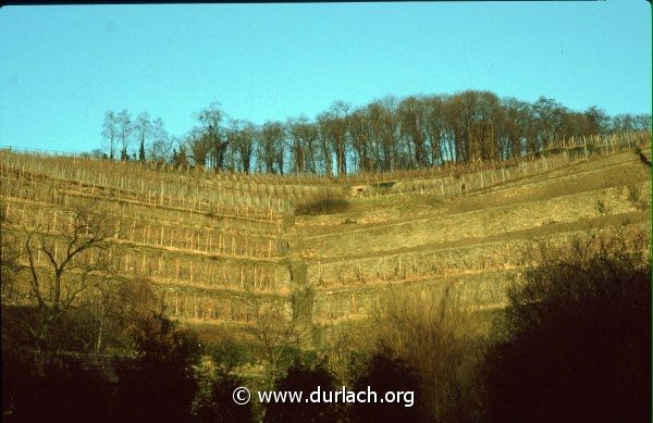 Die Weinberge, ca. 1980