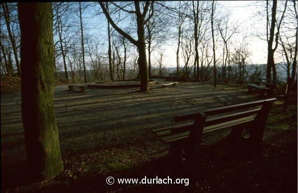 Wiese hinter dem Turmberg, ca. 1982