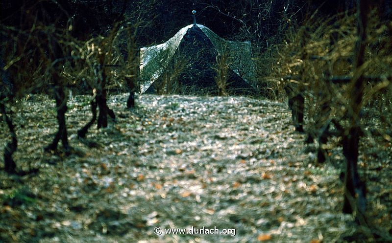 1981 - in den Weinbergen
