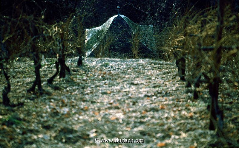 1981 - in den Weinbergen