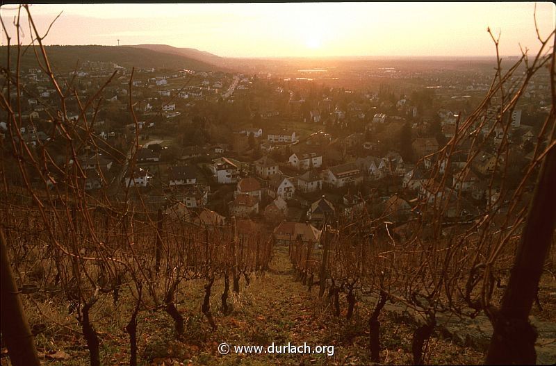 1980 - in den Weinbergen