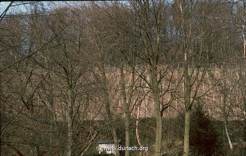 1975 - Blick auf die Weinberge