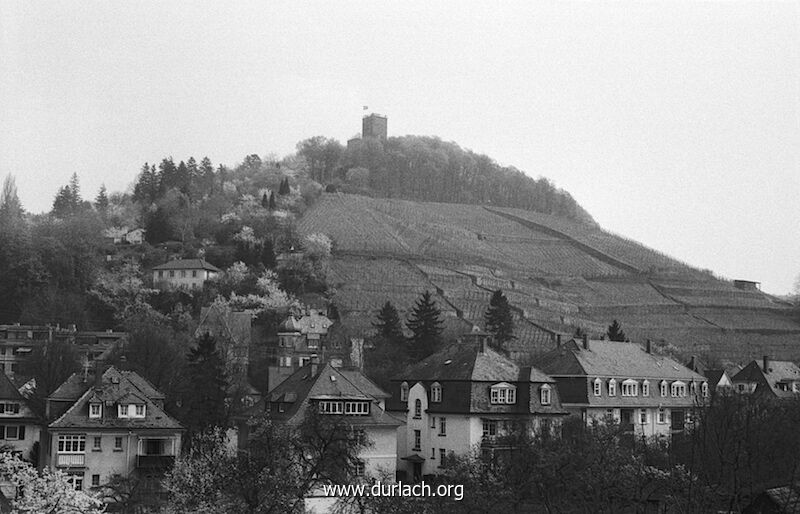 Blick auf den Turmberg