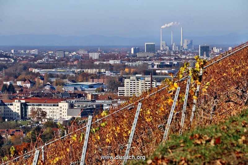 2015 - Blick ber den Weinberg auf die Stadt