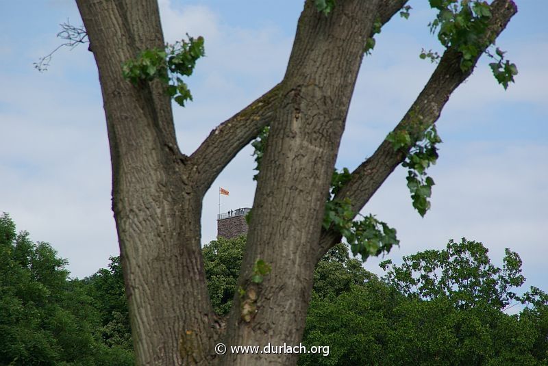 2008 - Blick vom Weiherhof zum Turmberg