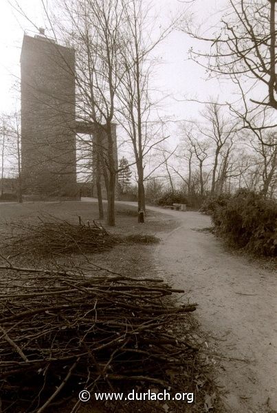 Wiese hinter dem Turmberg, ca. 1989