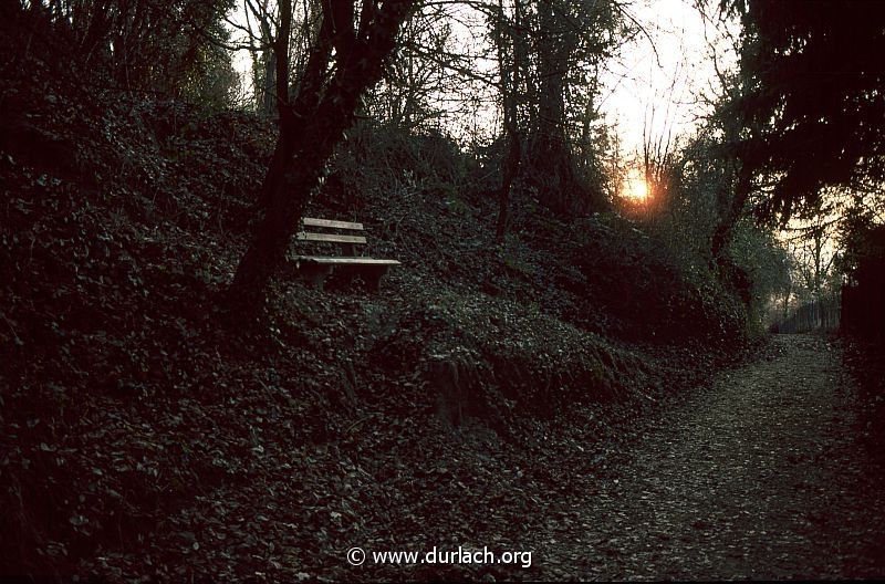 1982 - Hohlweg auf dem Turmberg