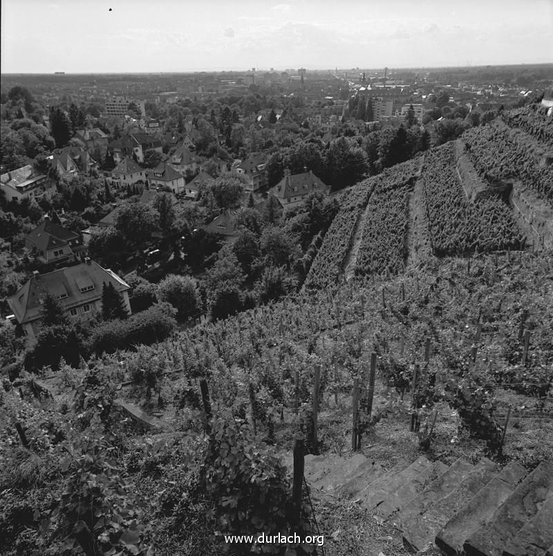 ca. 1980 - Blick ber den Weinberg auf Durlach