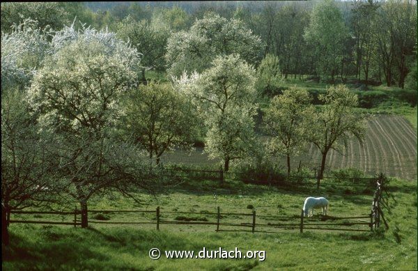 In der Hub, ca. 1978