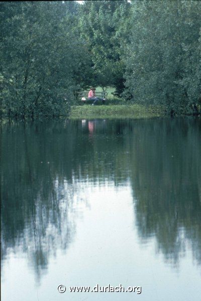 Im Oberwald, ca. 1982