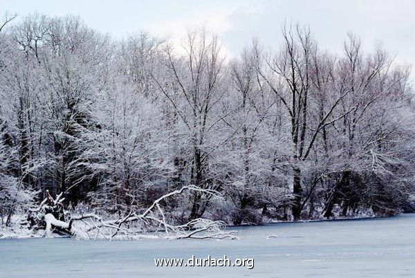 Oberwald im Schnee Dez. 2010