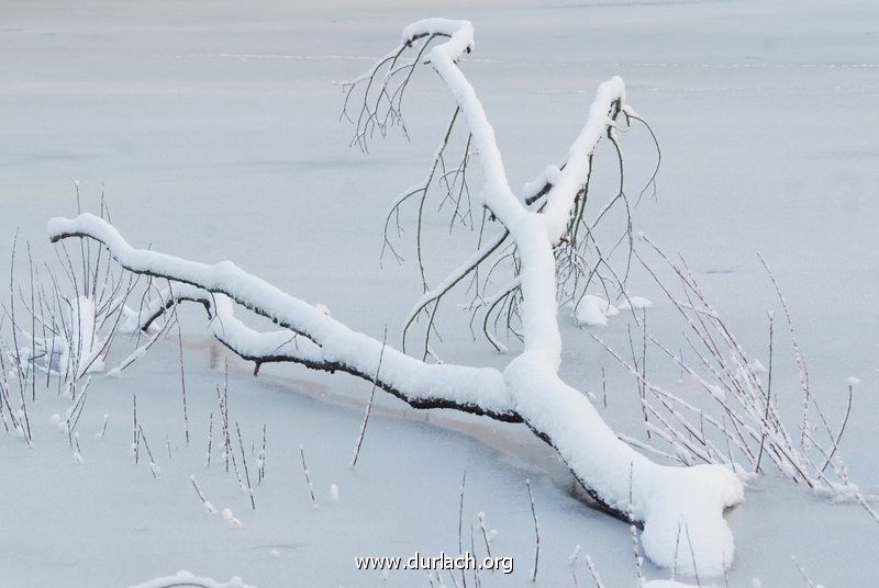 Oberwald im Schnee Dez. 2010