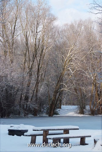 Oberwald im Schnee Dez. 2010