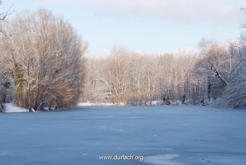 Oberwald im Schnee Dez. 2010