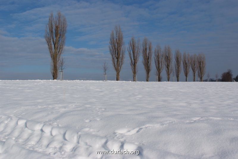 Thomashof im Schnee Jan. 2011