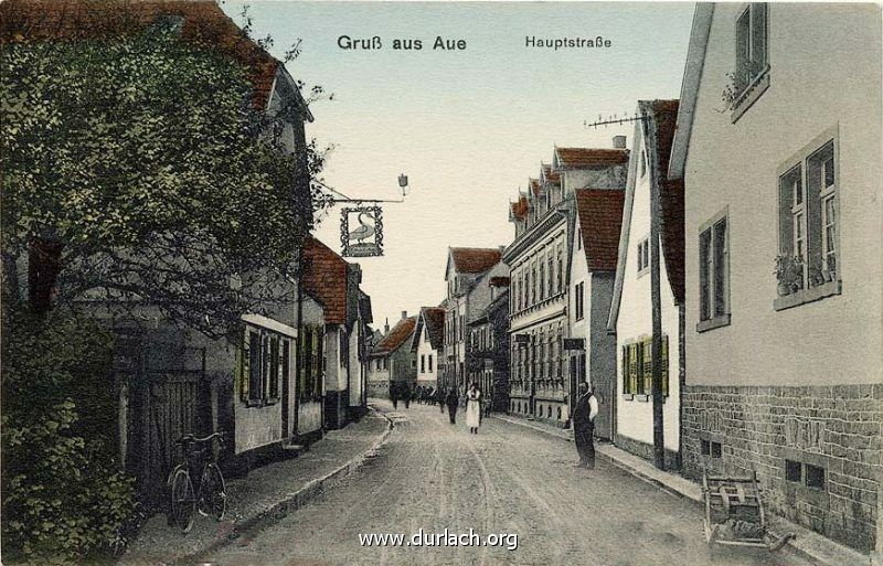 Schwanen Aue