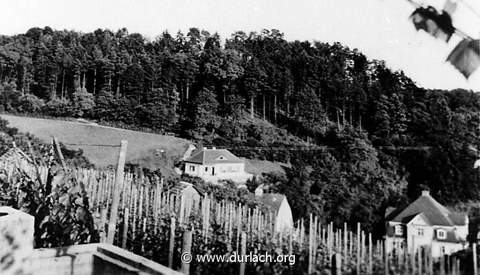 Guggelensberg - 1951