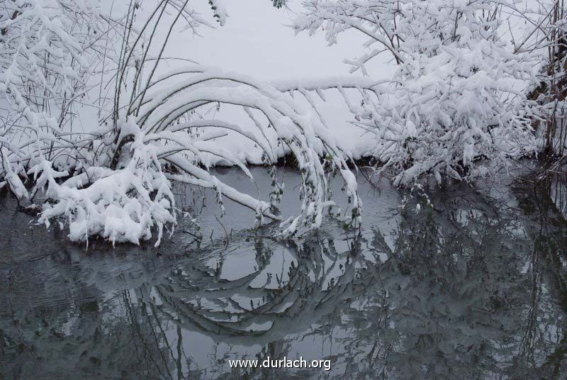 Schneelandschaft an der Pfinz Dez. 2010