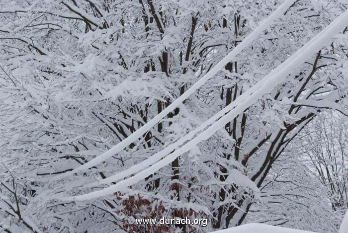 Schneelandschaft an der Pfinz Dez. 2010