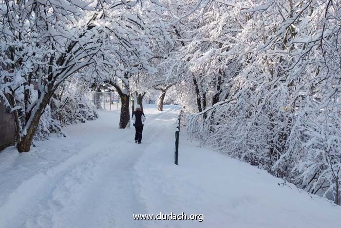 Schneelandschaft an der Pfinz Dez. 2010