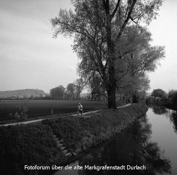 An der Pfinz, ca. 1980