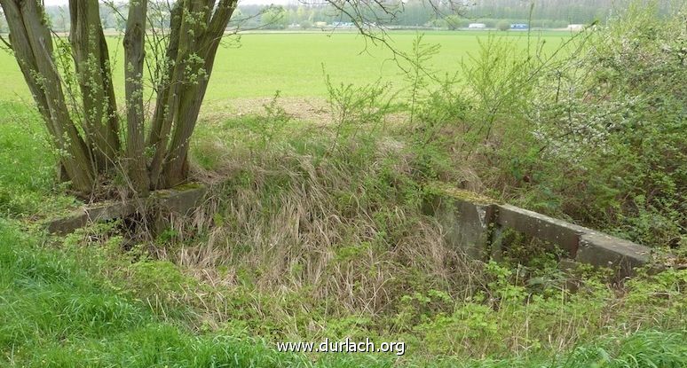 Wiesenwsserung in Durlach, Bild 7