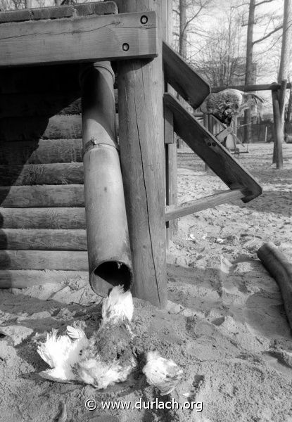 Brutale Tierquler im Schlossgarten, ca. 1989