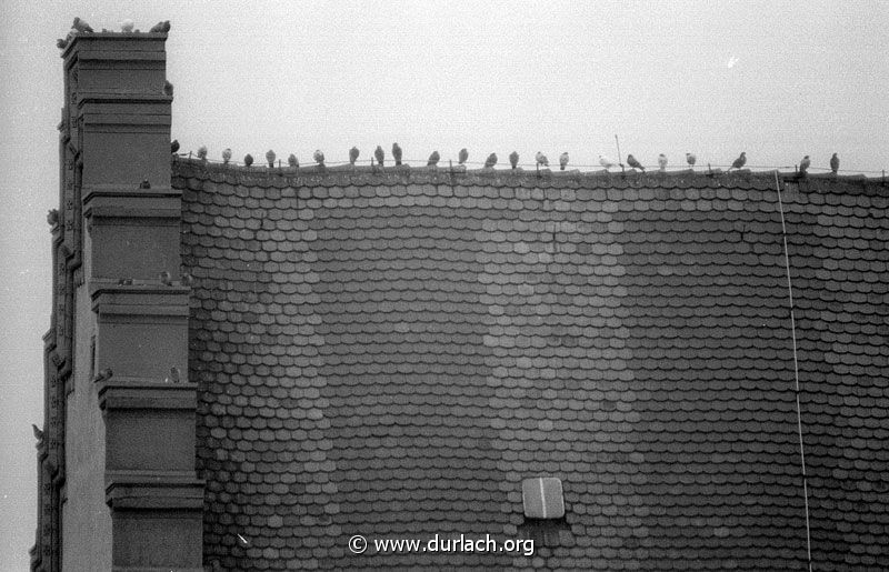 1988 - das Rathausdach