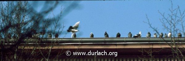 Friedrichschule, ca. 1982