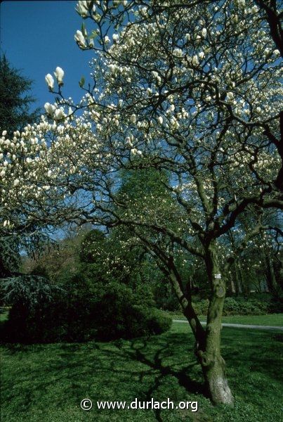 Im Schlossgarten, ca. 1982