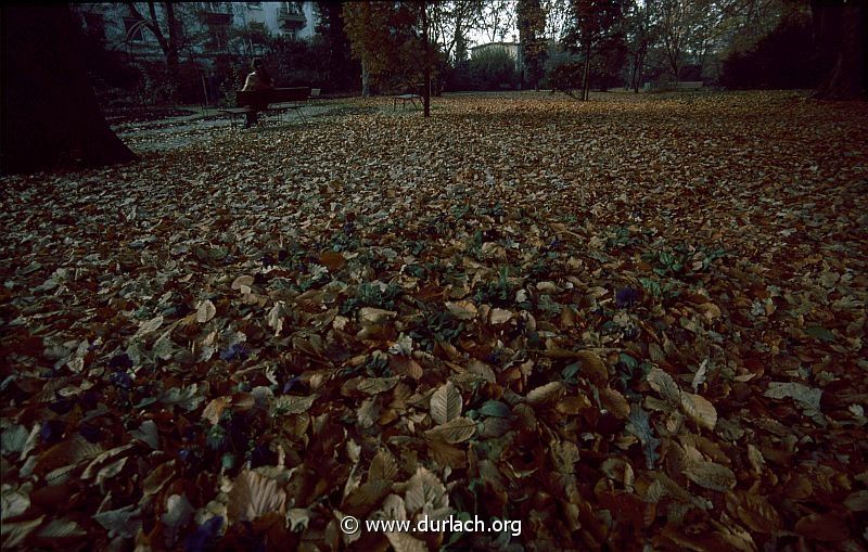 1981 - im Schlogarten