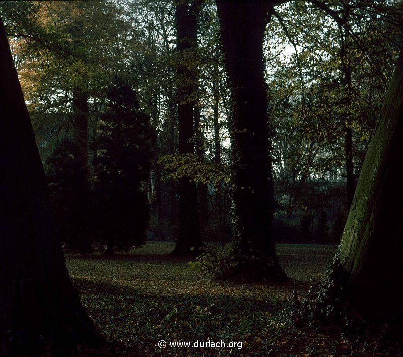 1981 - im Schlogarten