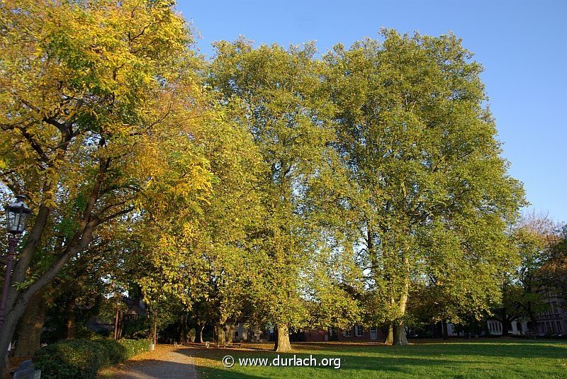 2008 - Alter Friedhof