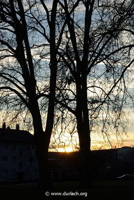 2009 - im Alten Friedhof