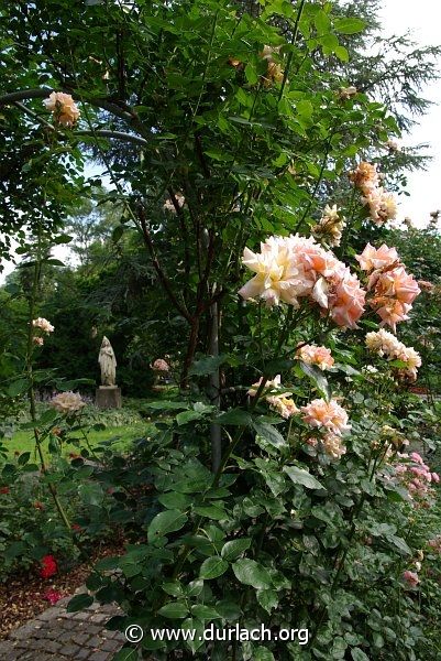 2009 - im Schlossgarten