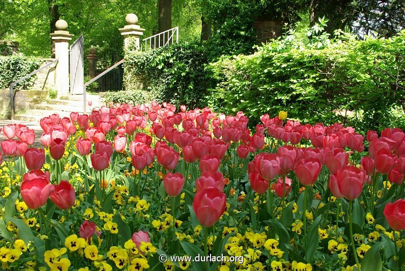 2009 - im Schlogarten