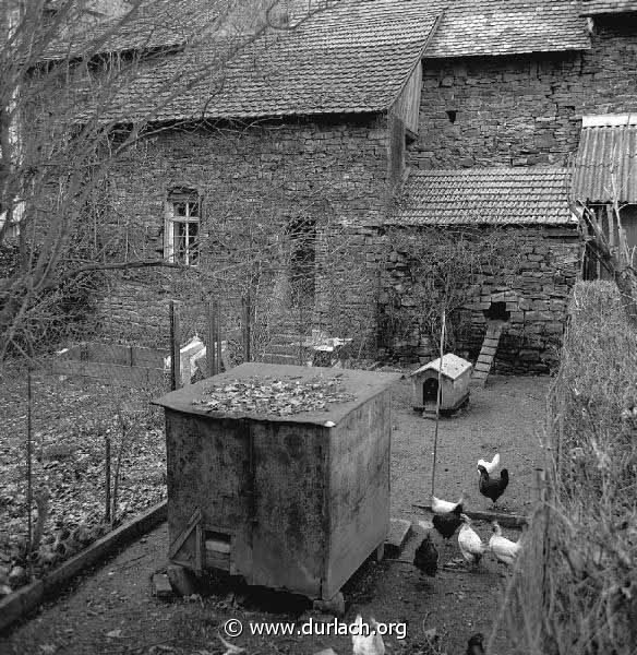 Garten am Alten Friedhof. Ca. 1982